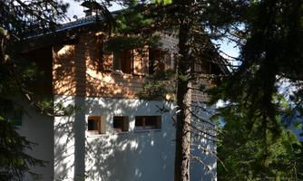 A modern house surrounded by tall trees. The sun shines through the canopy, creating a pleasant play of light.