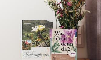 A wooden table with a bouquet of flowers and two books about plants. Also on the table are colorful stones.