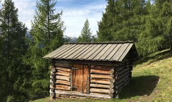A small wooden barn stands amid green trees. The sun shines on the roof and the meadow.