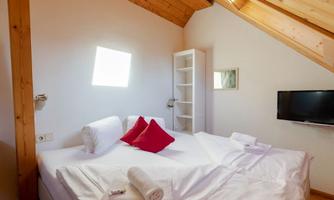 A cozy bedroom with a double bed and red pillows. The walls are light, and there is a television as well as a window that provides daylight.