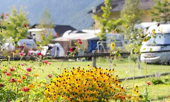 A blooming garden with yellow and red flowers in front of a campsite. In the background, motorhomes and green trees are visible.