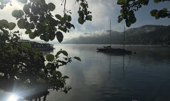 A calm water surface with gentle wisps of fog and a sailboat in the background. Lush leaves frame the scene and reflect the light.