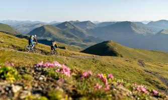 Two cyclists are riding on a beautiful mountain path. In the foreground, there are colorful flowers, and in the background, there is an impressive mountain landscape.