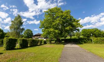 A green landscape with a large tree and a clear blue sky. In the background, a building and some bushes are visible.