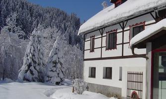 A snow-covered house in front of a winter landscape with tall, snow-laden trees. The clear blue sky creates a tranquil atmosphere.