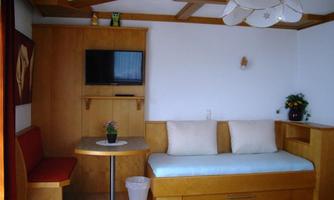 A cozy room with wooden paneling and modern furniture. There is a seating area, a table, and a small plant on the table.