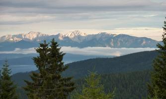 A picturesque mountain landscape with high mountains and fog in the valley. Dense forests line the foreground and the sky is overcast.
