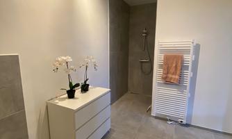 A modern bathroom with tiled flooring and a shower. There are plants on the dresser and there is a towel rack.