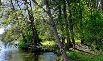 An idyllic river with sparkling water and lush trees. The sun shines through the foliage, creating a serene atmosphere.