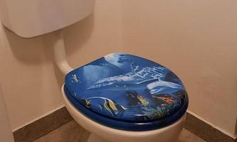 A bathroom with a toilet and a blue toilet seat. The room is plain and clean.