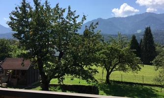A tranquil landscape with green meadows and trees. In the background, there are mountains and a clear blue sky.