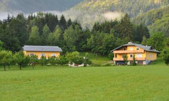 A picturesque landscape with two cozy houses in a green meadow. In the background, trees and gentle hills can be seen.