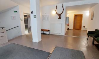 A bright reception area with an elevator and a cozy seating area. Antler pieces are hung on the wall, and the floor is tiled.