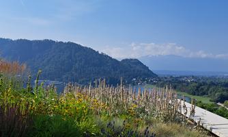 View with mountains and a clear sky. Colorful flowers and green plants frame the view.