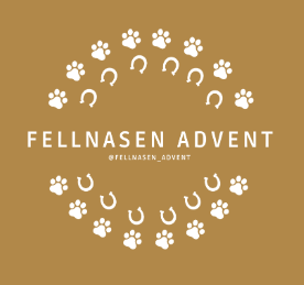 4. Fellnasen Advent in der Engelstadt