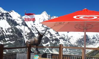 A mountain terrace with wooden tables and benches. In the background, snow-covered mountains and a clear blue sky can be seen.