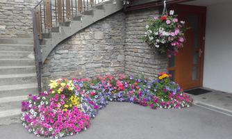 Colorful flowerbeds with a variety of colors are located at the foot of a staircase. In the background, a stone wall and an entrance door are visible.