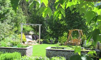 A beautiful garden with a green lawn and a Hollywood swing. Surrounded by various plants and trees in a sunny area.