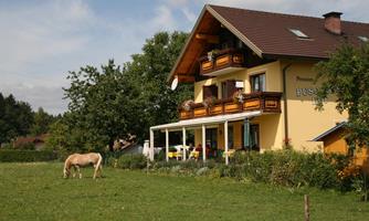 A charming house with balconies, surrounded by green meadows and trees. In the foreground, a horse grazes peacefully in the pasture.