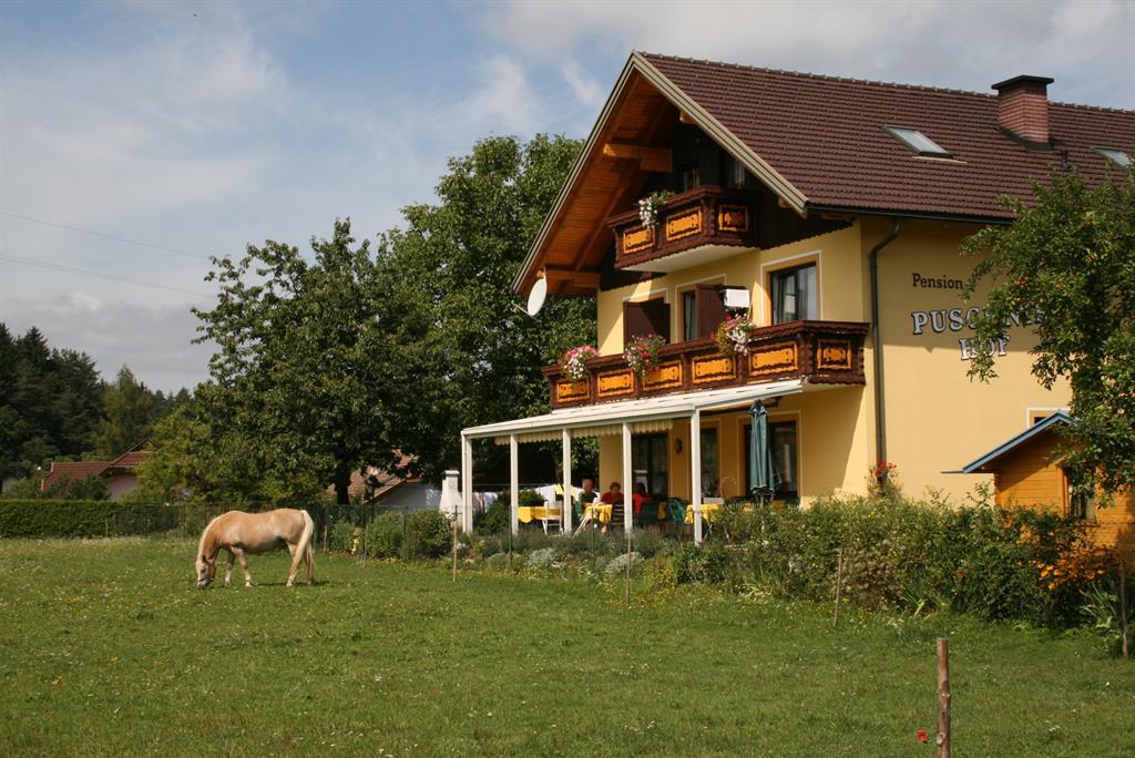 Bauernhof-Pension Puschnikhof