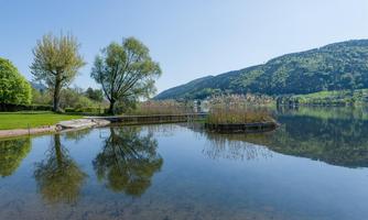 A calm lake with clear water and beautiful trees along the shore. In the background, gentle hills and blooming vegetation can be seen.