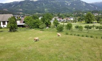 Ausblick Balkon
