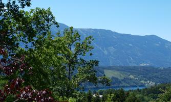 A beautiful landscape with green trees and mountains in the background. The clear sky complements the peaceful atmosphere.
