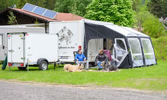 A motorhome is parked on a meadow, surrounded by trees. Two people are sitting relaxed in front of it with their dogs.