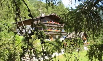 A charming alpine house surrounded by trees and greenery. Colorful flowers bloom on the balcony.