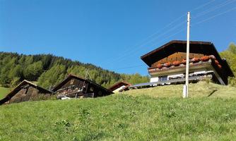 A picturesque landscape with traditional chalets on a green meadow. The clear blue sky and the surrounding trees provide a tranquil atmosphere to the scene.