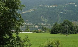 A green meadow landscape with a view of a calm lake and gentle mountains in the background. Nearby, there are trees providing shade.