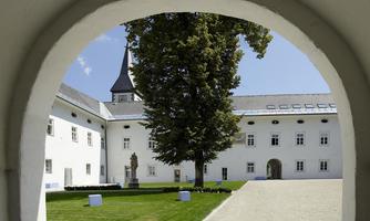 A beautiful courtyard with a large tree and a statue. In the background, white buildings and a church tower can be seen.