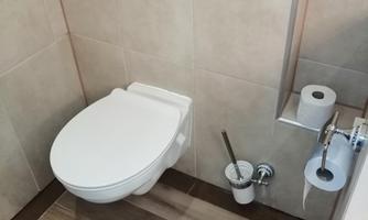 WC with wall-mounted toilet, flush plate, toilet paper holder and toilet brush set on a tiled wall.