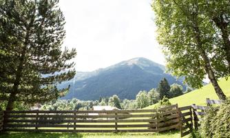 A picturesque landscape with gentle hills and a mountain horizon. In the foreground, there is a wooden fence surrounded by trees.