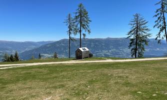 A small cabin is situated on a green meadow with a view of the mountains. The sky is clear and blue, surrounded by tall trees.