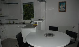 A modern kitchen studio with a round table and black chairs. The kitchen is bright and well-equipped with a view of a green outdoor area.