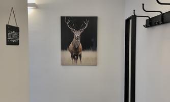 A modern hallway with a black table and a mirror. On the wall hangs a picture of a majestic deer.