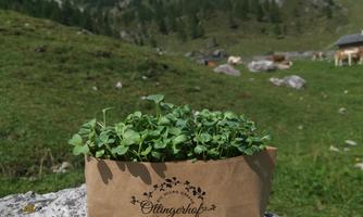 A herb pot made of paper stands on a stone in a green mountain landscape. In the background, mountains and a blue sky are visible.