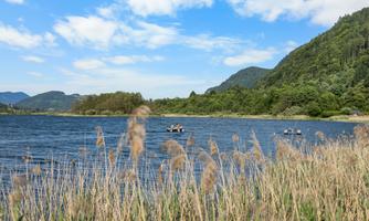 A tranquil lake surrounded by green hills and a blue sky. In the foreground, tall grasses grow, while in the background, small boats are sailing.