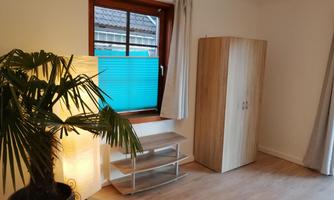 A bright room with a window, a wardrobe, and a shelf. In the foreground, there is a palm next to a lamp.