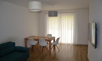 A modern living room with a green sofa and a dining table. Large windows let in plenty of light.