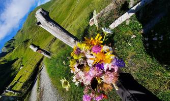 A colorful bouquet of wildflowers is held. In the background, a green meadow stretches out under a blue sky.
