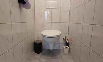 A modern bathroom with a white toilet and tiles in light tones. Decorative plants give the room a friendly atmosphere.
