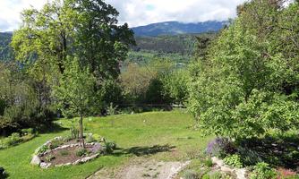 A green garden scene with several trees and shrubs. In the background, there are mountains and a blue sky.