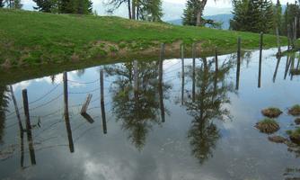 A quiet pond reflects trees and a fence. The surroundings are green and invite you to linger.