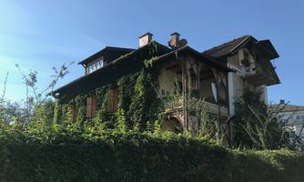 A charming house surrounded by green plants. The sky is blue and clear, enhancing the idyllic atmosphere.
