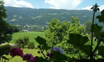 A picturesque landscape with green meadows and mountains in the background. Colorful flowers in the foreground add a vibrant touch to the image.
