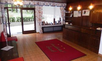 An inviting reception area with wooden decor and a red carpet. Large windows let in plenty of light and offer a view of the outdoor area.