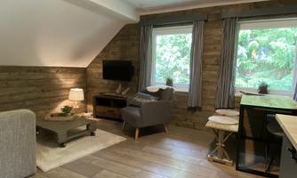 A cozy room with wooden paneling and large windows. There is a television, an armchair, and a small table.