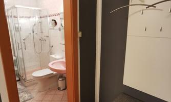 An entrance area with wooden flooring and a wardrobe. In the background, a bathroom with a shower and toilet is visible.